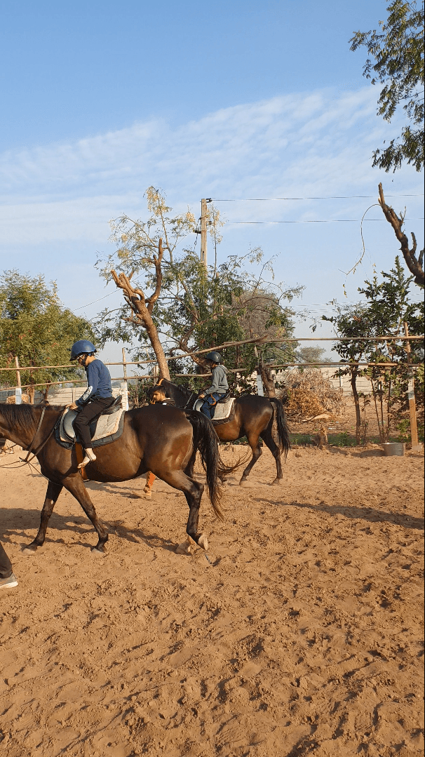 घुड़सवारी का रोमांच अनुभव करें, आत्मविश्वास और इन महान जानवरों के साथ बंधन को बढ़ाएं।